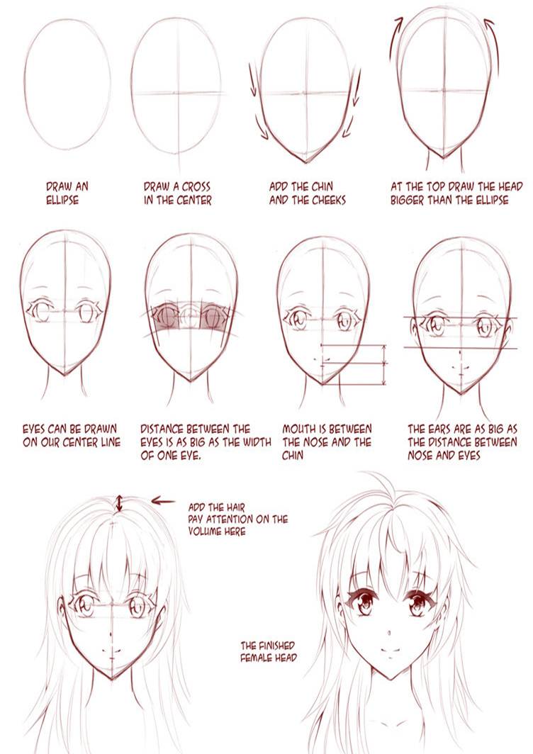 Proporsi dalam Menggambar  Kepala dan Tubuh Manga there s 