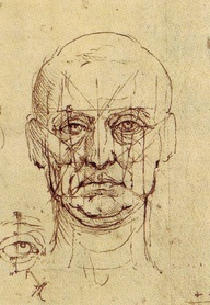 da-vinci-proportions-of-face-and-eye